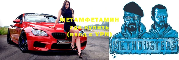 индика Алексин