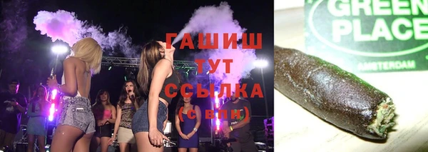 индика Алексин