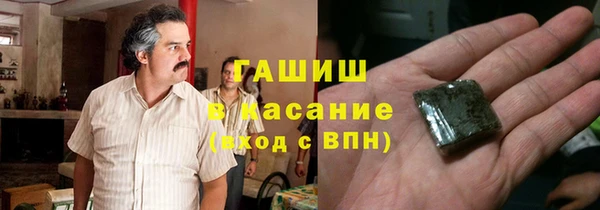 индика Алексин