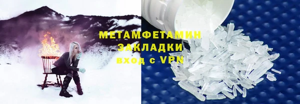 индика Алексин