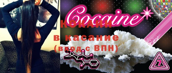 индика Алексин
