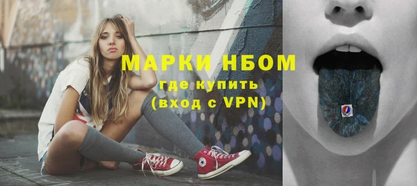 индика Алексин